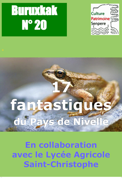 Page de couverture du Buruxkak n° 20 - 17 fantastiques du Pays de Nivelle