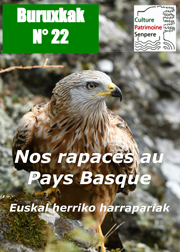 Page de couverture du Buruxkak n° 22 - Nos rapaces au Pays Basque