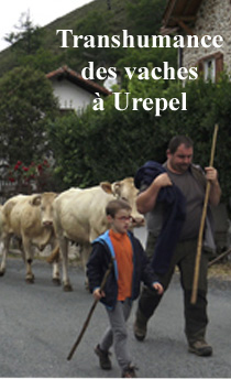 Marquage et transhumance à Urepel 