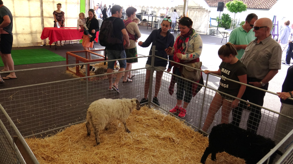 Photographies de la fête de l'agneau en 2018 à Saint-Pée-sur-Nivelle