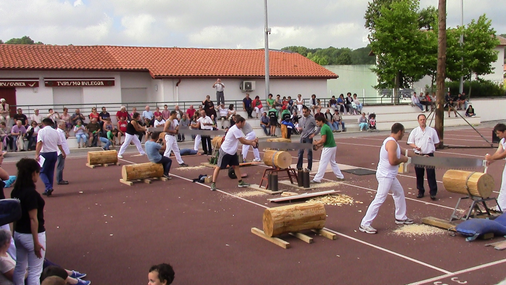 Vue d'une Compétition de force basqueà  Saint-Pée-sur-Nivelle