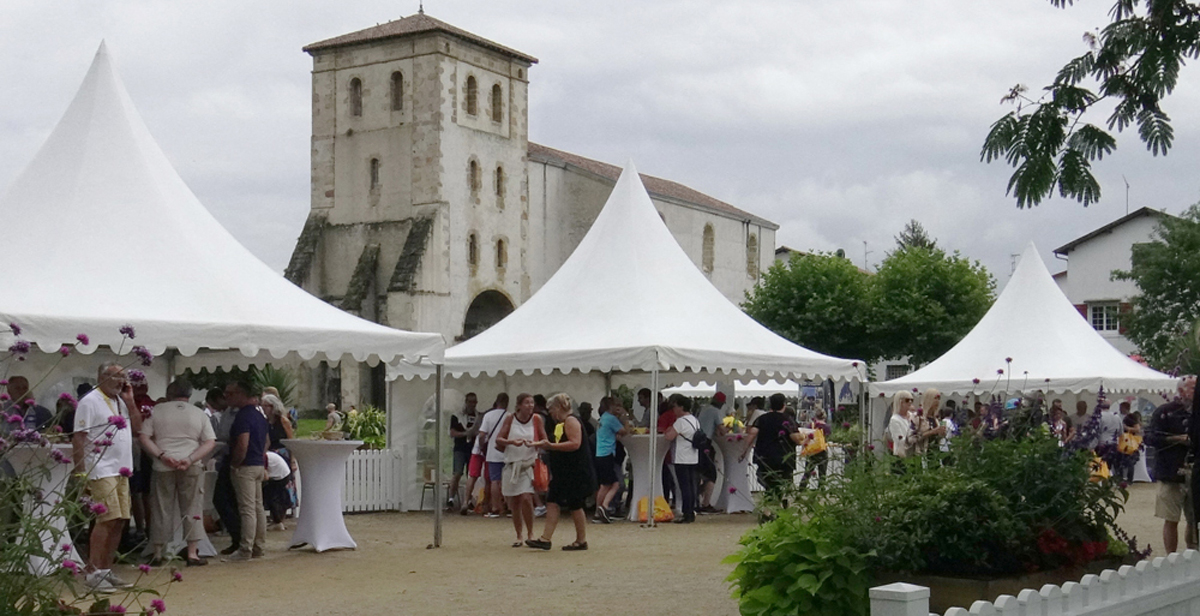 L'espace grand public