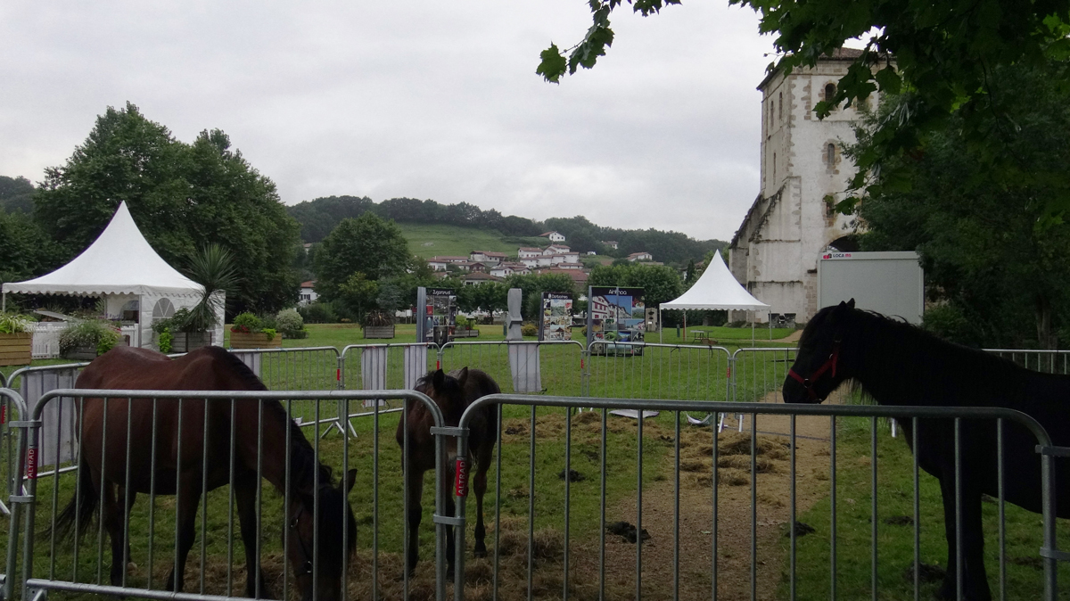L'espace grand public