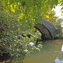 Bouton Pont Uraldea