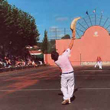 Vue du fronton