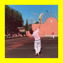 Bouton Fronton